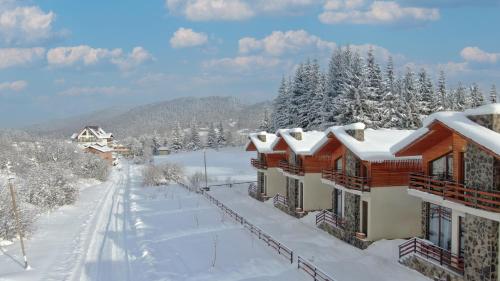 Vista exterior, Villa Mtashi in Bakuriani