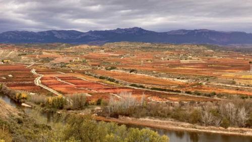 La Pilarcita Centro