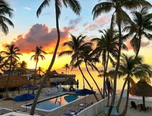 Drop Anchor Resort & Marina in Islamorada, USA