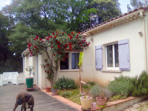 Maison chaleureuse avec piscine au bord du Gardon