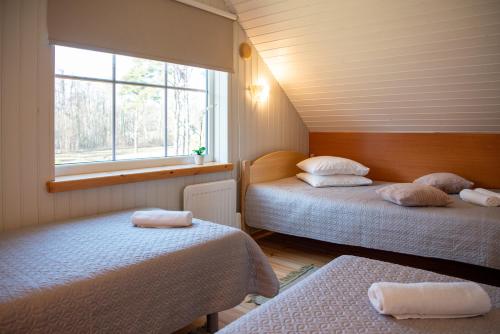 Tehumardi Camping - image 3