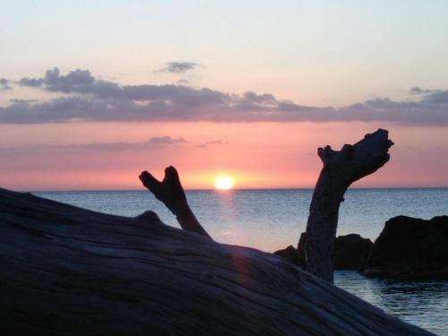 CASE CREOLE INDEPENDANTE PROCHE MER