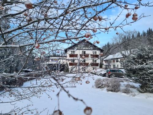 Hotel Winterberg Resort - image 4