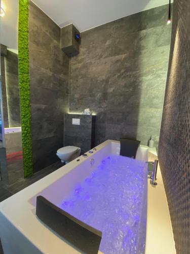 Apartament biały z jacuzzi Room Type - One-Bedroom Apartment