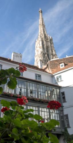 Gästehaus Deutscher Orden Wien, Vienna