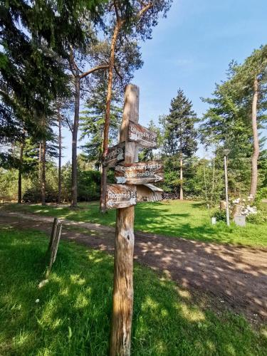 Outdoors Holten - image 2