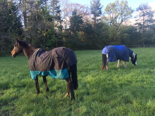 One bedroom lodge in the countryside in Congleton