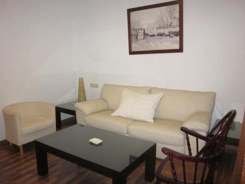 Suite, junior