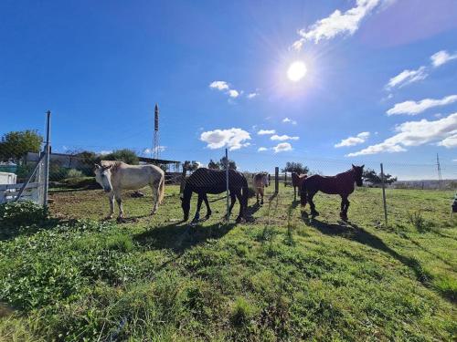 Taia Casa Rural 2 **. Alojamiento y actividades