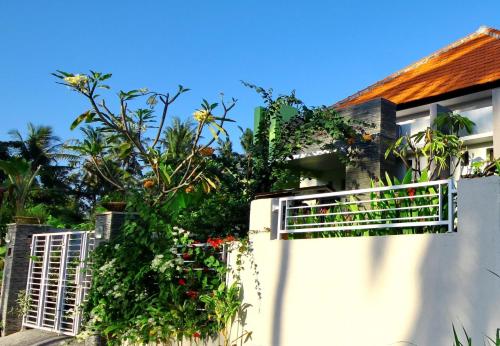 Saba Guest House