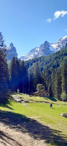 Chalet Brenta Dolomites