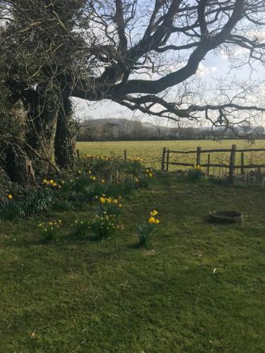 Kilátás, The Old Flower Field in Hurstpierpoint and Sayers Common