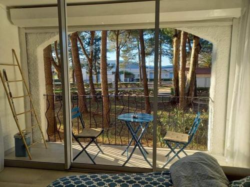 Studio 27 m2 300m de la plage 4p wifi commodités - Apartment - Plage dʼArgelès