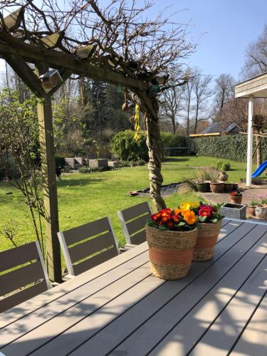  Woning tussen bos en water in Dalfsen