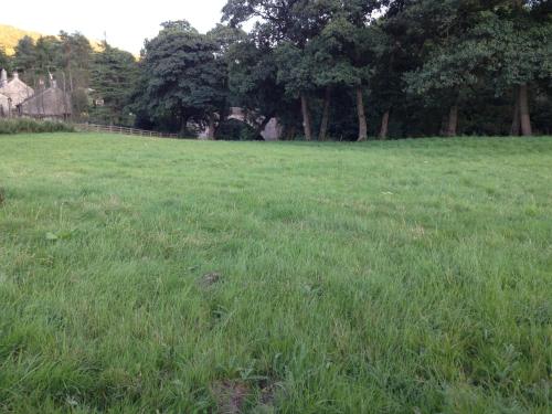 Kingfisher Lodge 2