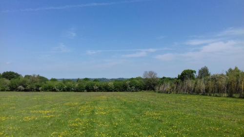 Pitch your own tent in beautiful location Kent Sussex border