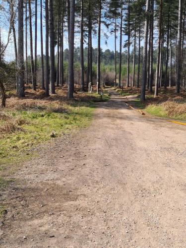 A környék, The Shambles just 3 miles from Birches Valley visitors centre home to MTB trails Follow the Dog and  in Rugeley