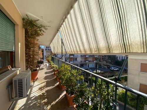 Apartment Bragadin 1
