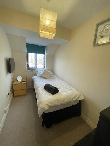 6 Bedroom House For Corporate Stays in Corby Suitable for Nightshift Workers