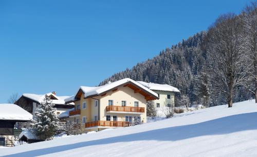 Appartements Bergblick Flachau