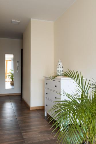 Apartamenty Maestro - image 13