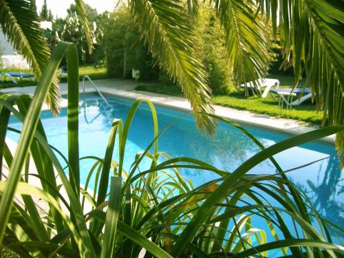 Úszómedence, Bungalows Puravida in Zahora