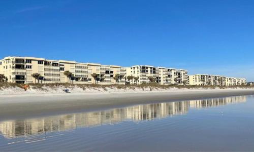 Sand Dollar 1-207 - image 6