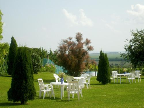 Kert, Szuts Vendeghaz in Fertőrákos