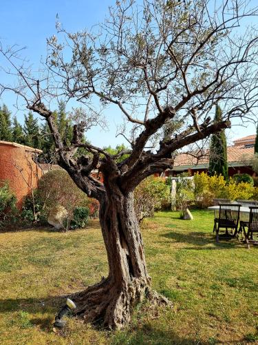 Castillon Des Baux - image 7