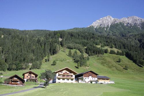 Ferienwohnungen Schwabhof Kleinarl