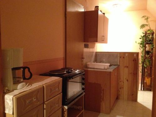 キッチン, Lilla Apartman in ヘジコゼグ