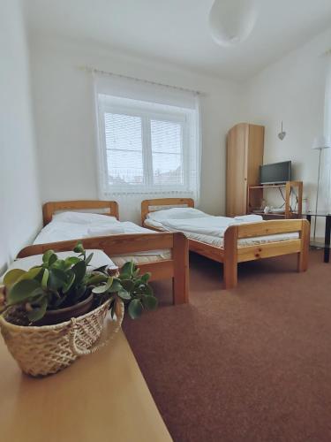 2 twin beds, 1 sofa bed