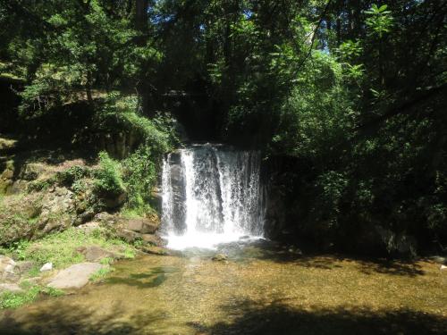 le moulin blanc