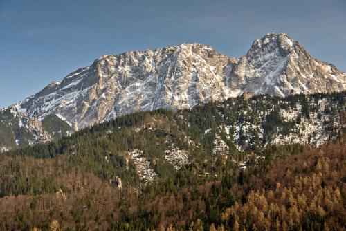 Apartment with Mountain View image 2