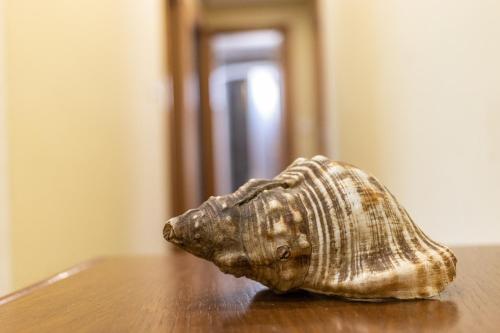  Confortable piso en Lekeitio, a 7 minutos de la playa in Lekeitio