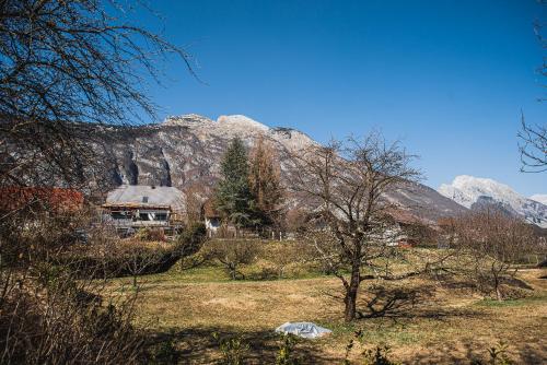 Apartma Rombon Brdo with Free Onsite Parking, Bovec (fotografie 6)
