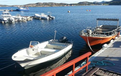 Skats, Havgløtt in Oksvoll