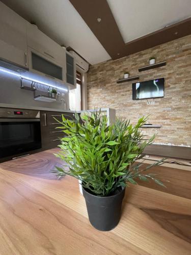 Guest House Amore in Sandanski