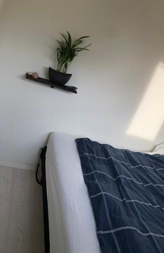 Moderne lejlighed med privat parkering