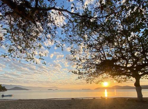 شاطئ, Nova Conquista in Pontal