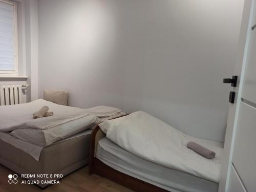 One-Bedroom Apartment image 10