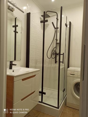 One-Bedroom Apartment image 8