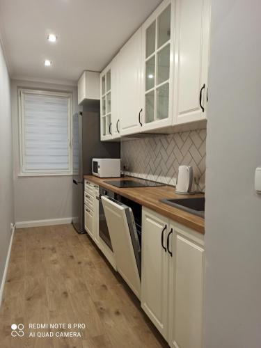 One-Bedroom Apartment image 7