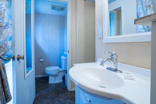 5 Ojo Inn Bed and Breakfast 5 Ojo Inn Bed and Breakfast