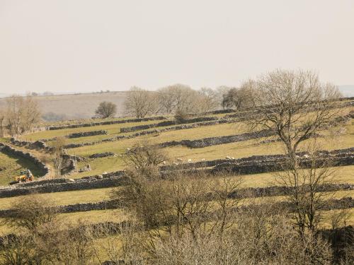 Swallow Barn Buxton - image 9