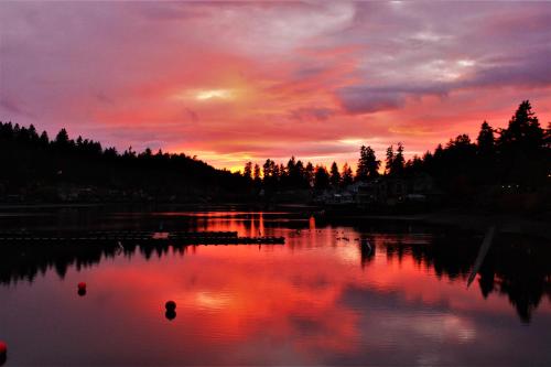 Lakeshore Inn - Hotel - Lake Oswego