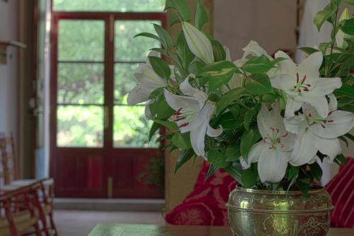 Hostal Miramar - image 11