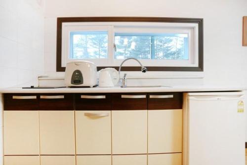 ヤンヤン Blue Sky Milky Way Pension シングルルーム 眺望