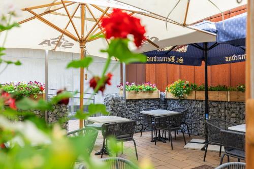Hotel Ambiotel - image 10