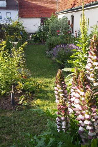 Ferienwohnung Seidenfaden Ferienwohnung Seidenfaden